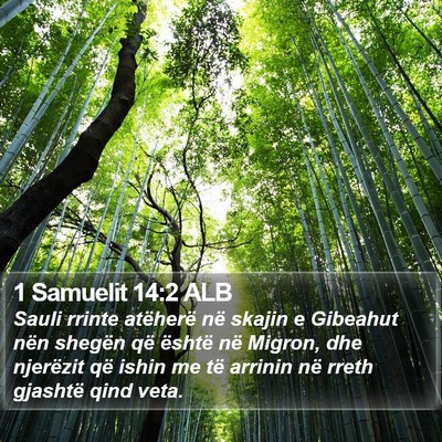 1 Samuelit 14:2 ALB Bible Verse Image