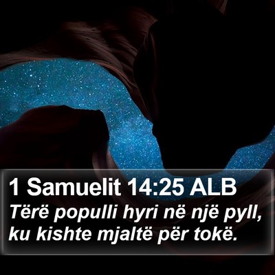 1 Samuelit 14:25 ALB Bible Verse Image