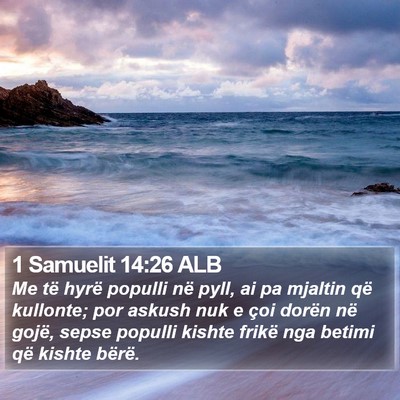 1 Samuelit 14:26 ALB Bible Verse Image