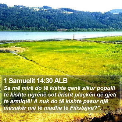 1 Samuelit 14:30 ALB Bible Verse Image