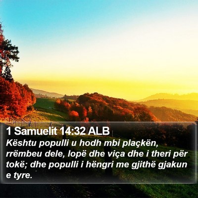 1 Samuelit 14:32 ALB Bible Verse Image