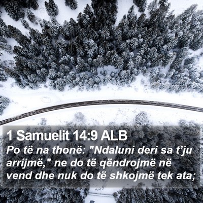 1 Samuelit 14:9 ALB Bible Verse Image