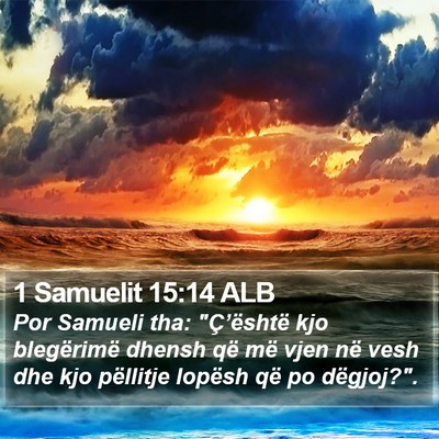 1 Samuelit 15:14 ALB Bible Verse Image