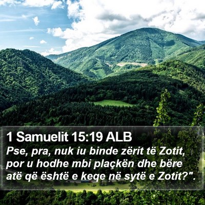 1 Samuelit 15:19 ALB Bible Verse Image