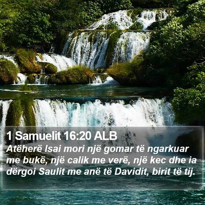 1 Samuelit 16:20 ALB Bible Verse Image