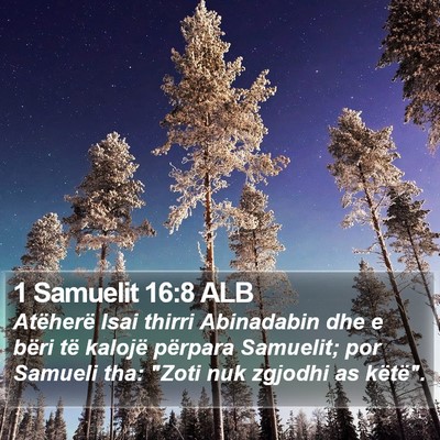 1 Samuelit 16:8 ALB Bible Verse Image