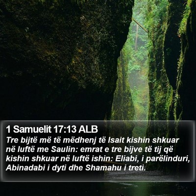 1 Samuelit 17:13 ALB Bible Verse Image
