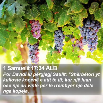 1 Samuelit 17:34 ALB Bible Verse Image