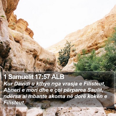 1 Samuelit 17:57 ALB Bible Verse Image