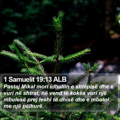 1 Samuelit 19:13 ALB Bible Verse Image