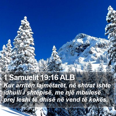 1 Samuelit 19:16 ALB Bible Verse Image