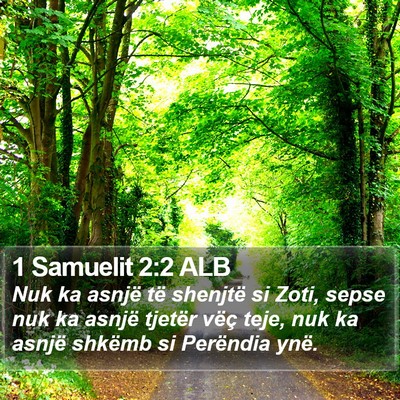 1 Samuelit 2:2 ALB Bible Verse Image