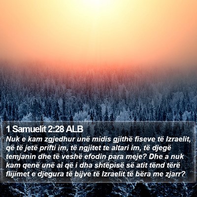 1 Samuelit 2:28 ALB Bible Verse Image