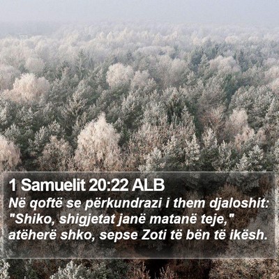 1 Samuelit 20:22 ALB Bible Verse Image