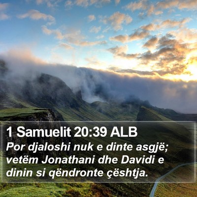 1 Samuelit 20:39 ALB Bible Verse Image