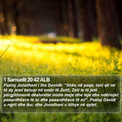 1 Samuelit 20:42 ALB Bible Verse Image