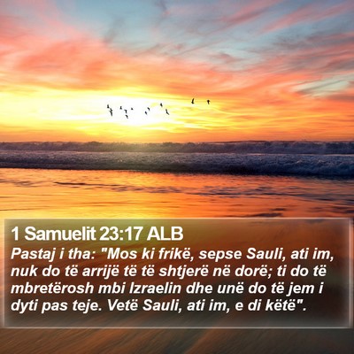 1 Samuelit 23:17 ALB Bible Verse Image