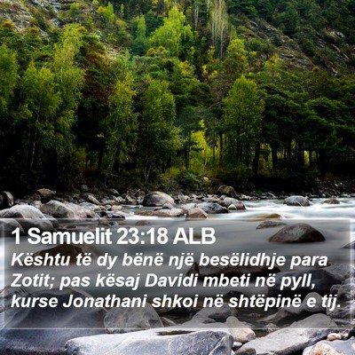 1 Samuelit 23:18 ALB Bible Verse Image