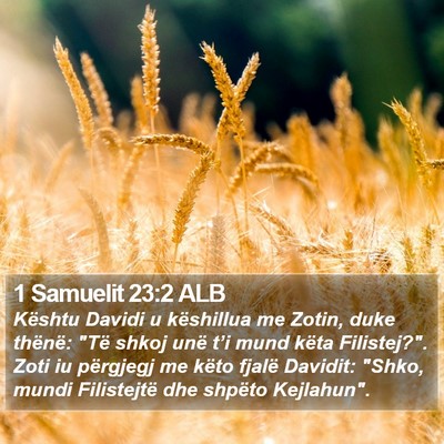 1 Samuelit 23:2 ALB Bible Verse Image