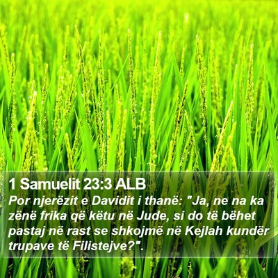 1 Samuelit 23:3 ALB Bible Verse Image