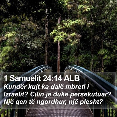 1 Samuelit 24:14 ALB Bible Verse Image