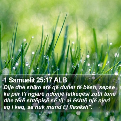 1 Samuelit 25:17 ALB Bible Verse Image