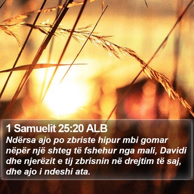 1 Samuelit 25:20 ALB Bible Verse Image