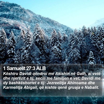 1 Samuelit 27:3 ALB Bible Verse Image