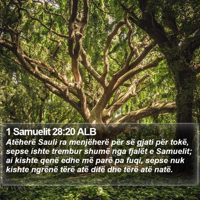 1 Samuelit 28:20 ALB Bible Verse Image