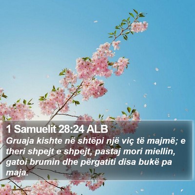 1 Samuelit 28:24 ALB Bible Verse Image