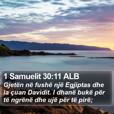 1 Samuelit 30:11 ALB Bible Verse Image