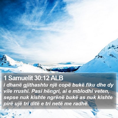 1 Samuelit 30:12 ALB Bible Verse Image
