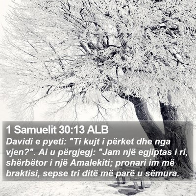 1 Samuelit 30:13 ALB Bible Verse Image