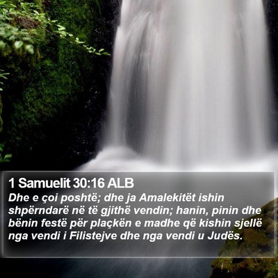 1 Samuelit 30:16 ALB Bible Verse Image