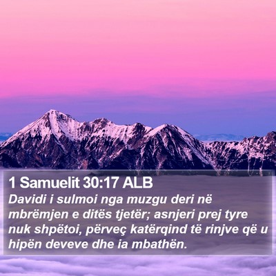 1 Samuelit 30:17 ALB Bible Verse Image
