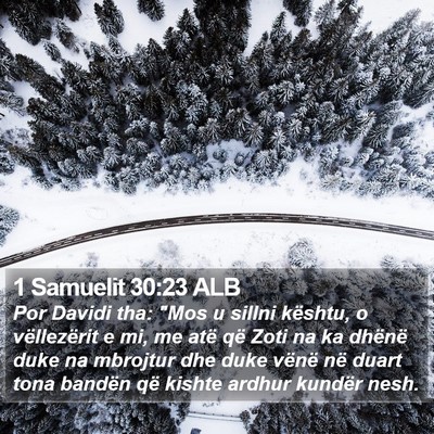 1 Samuelit 30:23 ALB Bible Verse Image