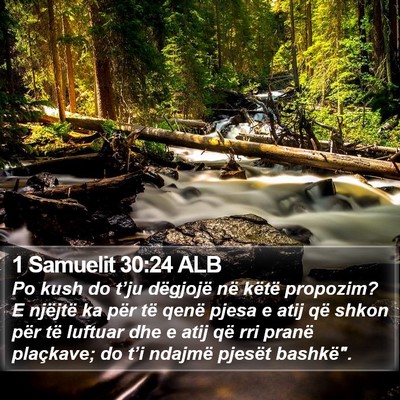 1 Samuelit 30:24 ALB Bible Verse Image
