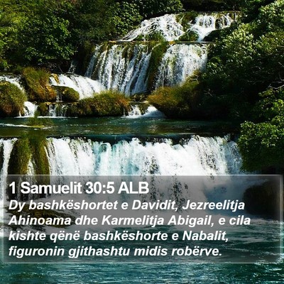 1 Samuelit 30:5 ALB Bible Verse Image