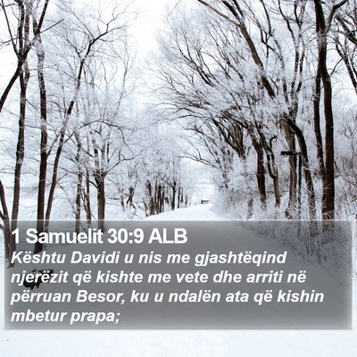 1 Samuelit 30:9 ALB Bible Verse Image