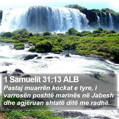 1 Samuelit 31:13 ALB Bible Verse Image