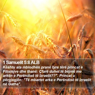 1 Samuelit 5:8 ALB Bible Verse Image