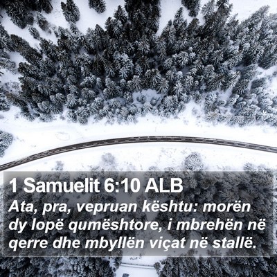 1 Samuelit 6:10 ALB Bible Verse Image