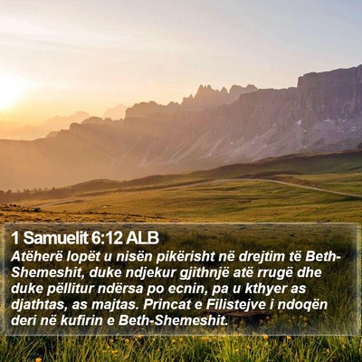 1 Samuelit 6:12 ALB Bible Verse Image