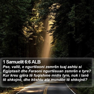 1 Samuelit 6:6 ALB Bible Verse Image