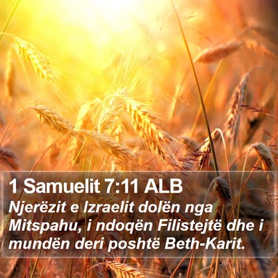 1 Samuelit 7:11 ALB Bible Verse Image