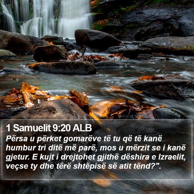 1 Samuelit 9:20 ALB Bible Verse Image