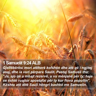 1 Samuelit 9:24 ALB Bible Verse Image