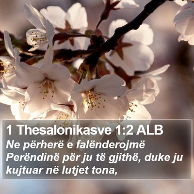 1 Thesalonikasve 1:2 ALB Bible Verse Image