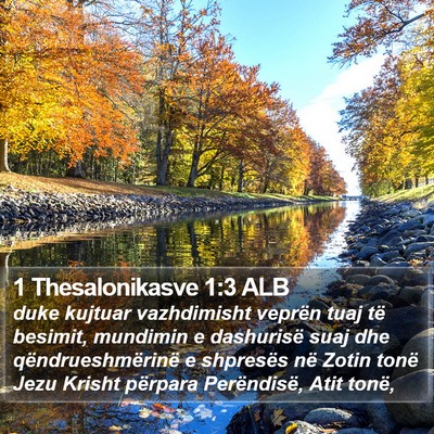 1 Thesalonikasve 1:3 ALB Bible Verse Image