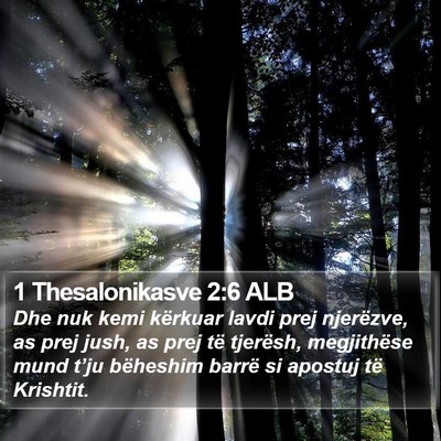1 Thesalonikasve 2:6 ALB Bible Verse Image